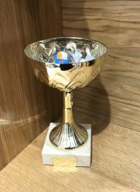 2005/6 Surrey League Championship Finalists (U16)